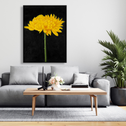 Framed 36 x 48 - Chrysanthemum