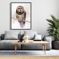 Framed 36 x 48 - Barred owl