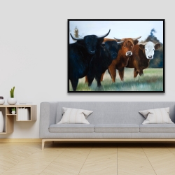 Framed 36 x 48 - Four highland cows