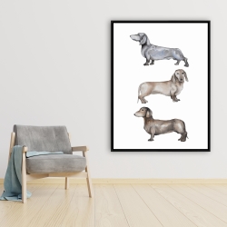 Framed 36 x 48 - Small dachshund dog