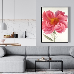 Framed 36 x 48 - Pink peony flower