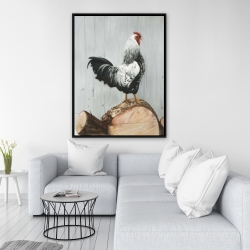 Encadré 36 x 48 - Coq wyandotte