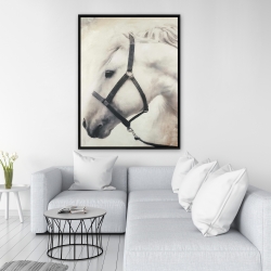 Framed 36 x 48 - Darius the white horse