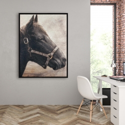Encadré 36 x 48 - Gallopin le cheval brun