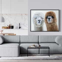 Framed 36 x 48 - Two lamas