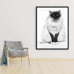Framed 36 x 48 - Blue eyes fluffy siamese cat