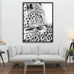 Framed 36 x 48 - Beautiful leopard