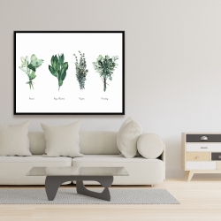 Encadré 36 x 48 - Fine herbs
