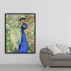 Framed 36 x 48 - Peacock