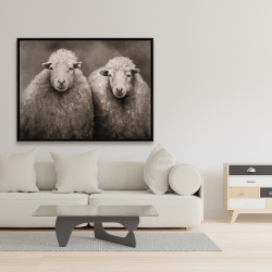 Encadré 36 x 48 - Moutons sépia