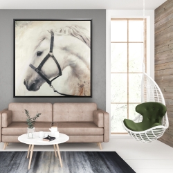 Framed 48 x 48 - Darius the white horse