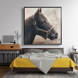 Encadré 48 x 48 - Gallopin le cheval brun