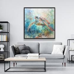 Framed 48 x 48 - Turtle