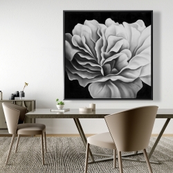Framed 48 x 48 - Beautiful black and white flower