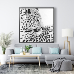 Framed 48 x 48 - Beautiful leopard