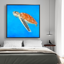 Framed 48 x 48 - Sea turtle