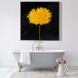 Framed 48 x 48 - Yellow chrysanthemum