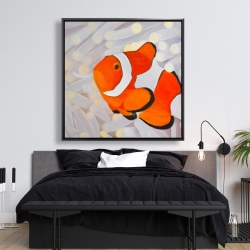 Framed 48 x 48 - Clownfish