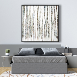 Framed 48 x 48 - Birch trees forest