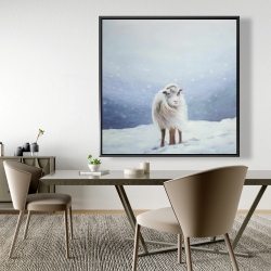 Framed 48 x 48 - Long hair sheep