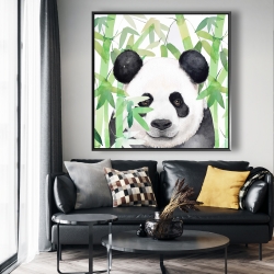 Framed 48 x 48 - Hidden panda in bamboo