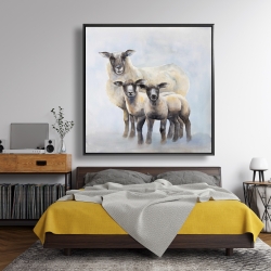 Framed 48 x 48 - Sheep family