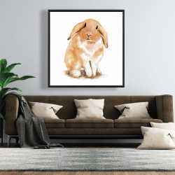 Framed 48 x 48 - Lop-rabbit