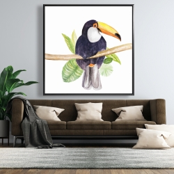 Framed 48 x 48 - Toucan
