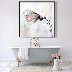 Encadré 48 x 48 - Papillon sur fleurs bleues
