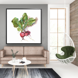 Framed 48 x 48 - Watercolor radish