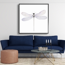Framed 48 x 48 - Delicate dragonfly