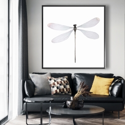 Framed 48 x 48 - Minimalist dragonfly