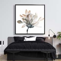 Framed 48 x 48 - Softness