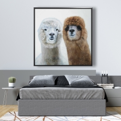 Framed 48 x 48 - Two lamas
