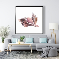 Framed 48 x 48 - Horse conch seashells