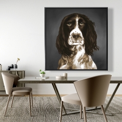 Encadré 48 x 48 - Springer spaniel anglais brun