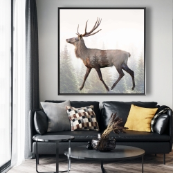 Framed 48 x 48 - Large plume roe deer