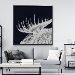 Framed 48 x 48 - Big moose plume