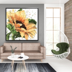 Framed 48 x 48 - Sunflower in bloom