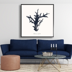 Encadré 48 x 48 - Montipora digitata
