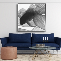 Framed 48 x 48 - Monochrome two betta