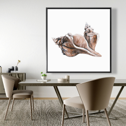 Encadré 48 x 48 - Coquillage de conque de cheval neutre
