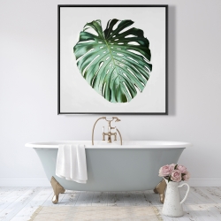 Framed 48 x 48 - Monstera leaf