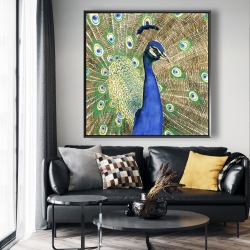 Framed 48 x 48 - Peacock