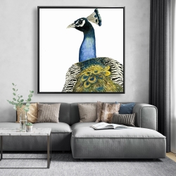 Framed 48 x 48 - Watercolor peacock