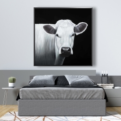 Encadré 48 x 48 - Vache blanche
