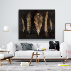 Encadré 48 x 60 - Ensemble de plumes brunes