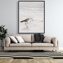 Encadré 48 x 60 - Bécasseau semipalmé