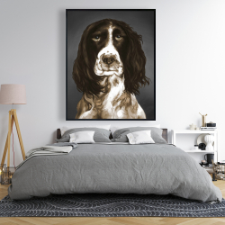 Encadré 48 x 60 - Springer spaniel anglais brun