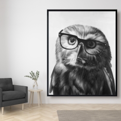 Framed 48 x 60 - Northern saw-whet owl with glasses